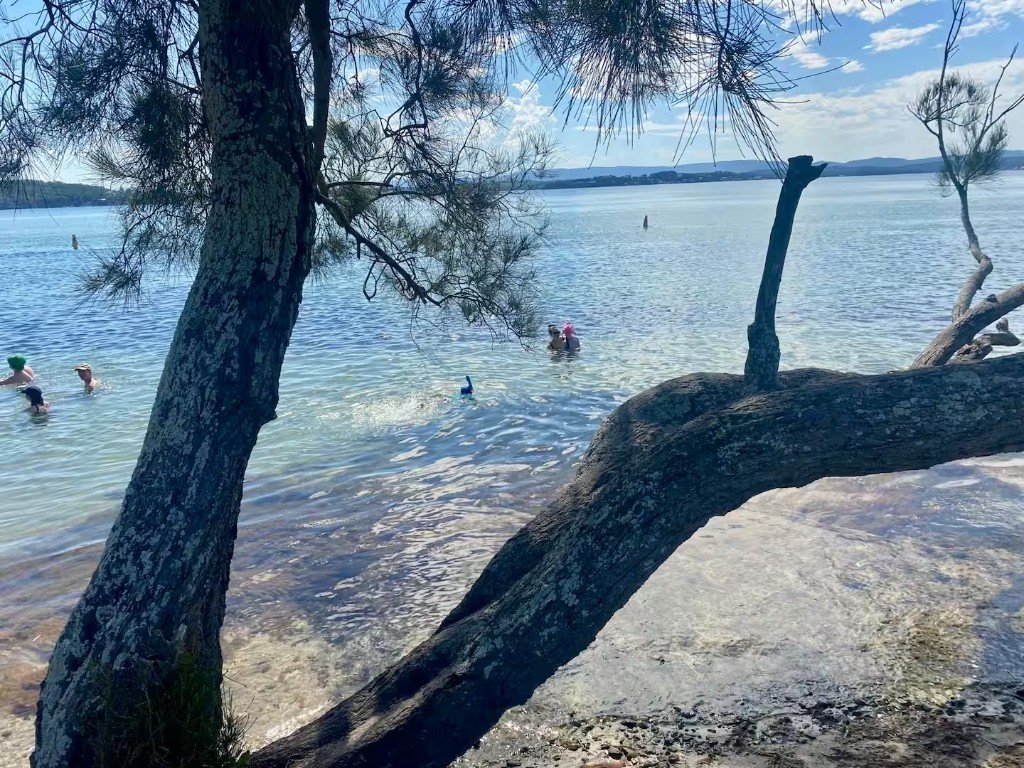 Kids swimming in the lake